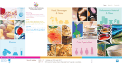 Desktop Screenshot of anshulindia.com